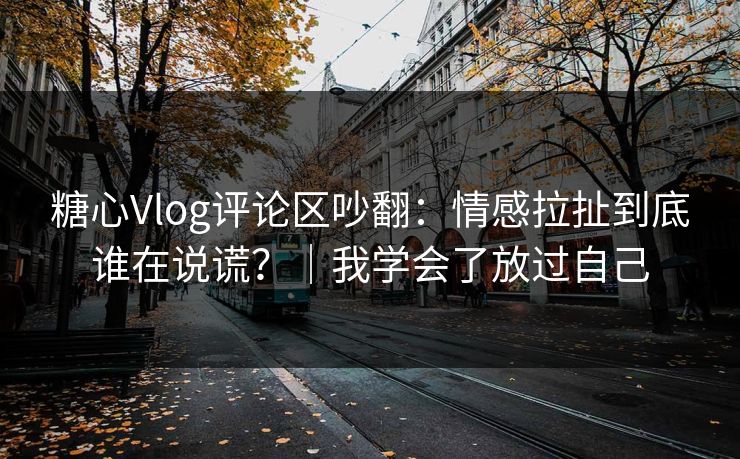 糖心Vlog评论区吵翻：情感拉扯到底谁在说谎？｜我学会了放过自己