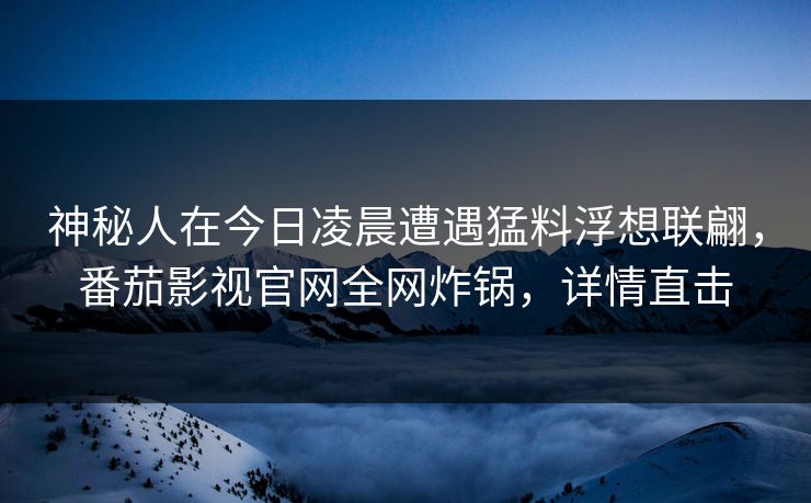 神秘人在今日凌晨遭遇猛料浮想联翩，番茄影视官网全网炸锅，详情直击