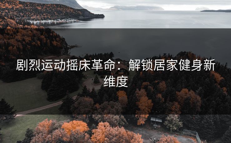 剧烈运动摇床革命：解锁居家健身新维度