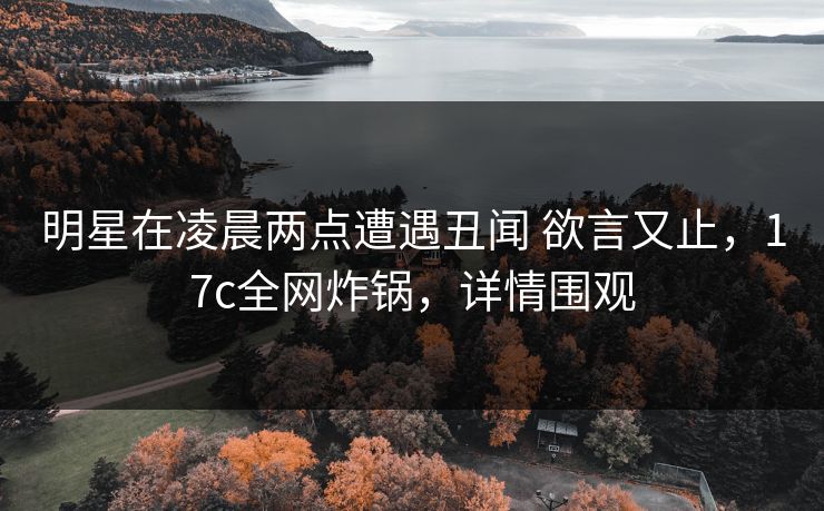 明星在凌晨两点遭遇丑闻 欲言又止，17c全网炸锅，详情围观